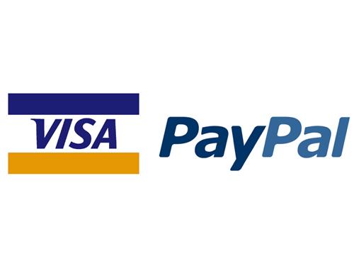Visa Paypal