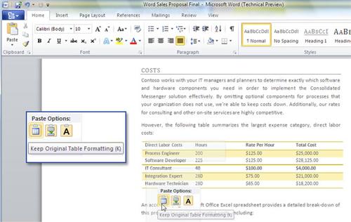 Microsoft Word 2010