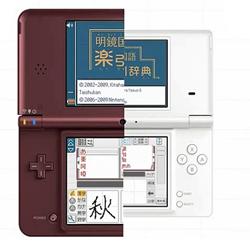 Nintendo DSi XL