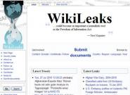 Wikileaks.org: Tagebuch zum Afghanistan-Krieg: Fragen 