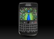 BlackBerry Bold 9700 und Pearl 