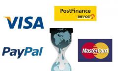 Wikileaks Tsunami: PayPal, Visa und