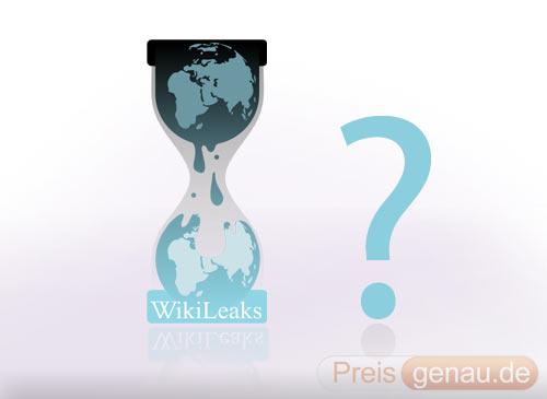 was ist wikileaks