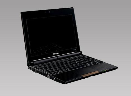Toshiba NB500-108