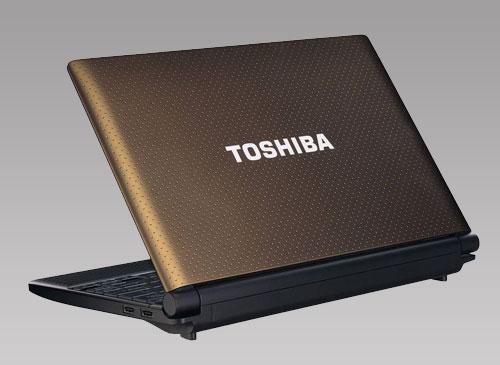 Toshiba NB500-10H