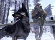 Call of Duty 8: Entwicklungsschmiede