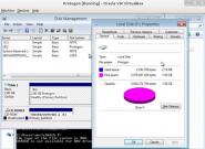 Windows 8: Neues Protogon Dateisystem