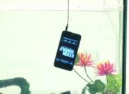 iPhone 5: Neues Apple Handy