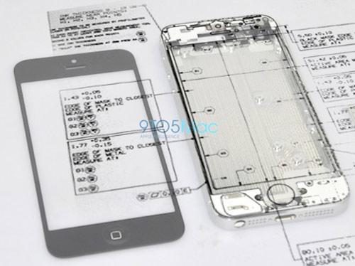 iPhone 5
