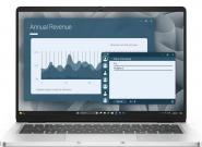 Dell Pro 14 PC14255 AMD